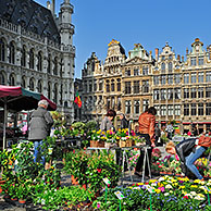 Bloemenkraam voor het stadhuis op de Grote Markt van Brussel, België
