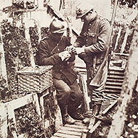 Belgische infanterie soldaten in loopgraaf bevestigen bericht aan postduif tijdens de Eerste Wereldoorlog in Vlaanderen, België