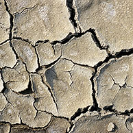 Verdroogde modder vertoont barsten na lange droogte
