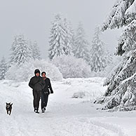 Wandelaars met hond in de sneeuw in winter, Hoge Venen, België
