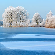 Bevroren vijver in parklandschap met bomen bedekt met rijp, Provinciaal domein Wachtebeke, België
