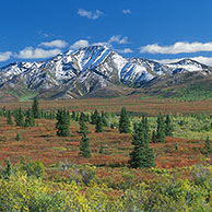 De toendra in de herfst, Denali NP, Alaska, USA