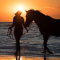 Paardrijdster met paard in zee bij zonsondergang