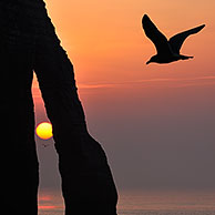 Silhouet van de Porte D'Aval, een natuurlijke boog in de krijtrotsen bij zonsondergang te Etretat, Normandië, Frankrijk
<BR><BR>Zie ook www.arterra.be</P>