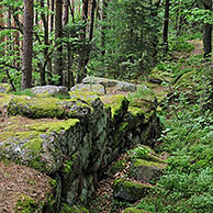 De muur Païen in bos nabij Mont Sainte-Odile, Vogezen, Elzas, Frankrijk
<BR><BR>Zie ook www.arterra.be</P>